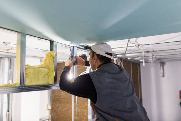 Best Blown-In Insulation  in Oxford, GA