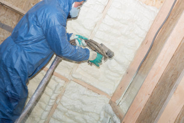 Eco-Friendly or Green Insulation Solutions in Oxford, GA